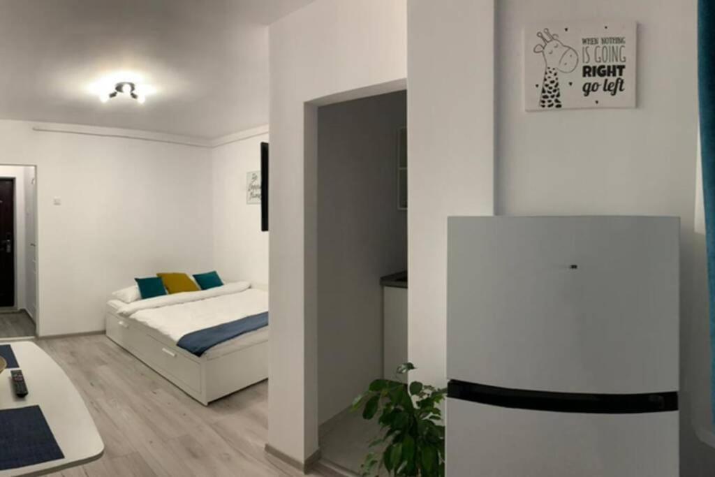 Cozy Studio Apartament 잘러우 외부 사진